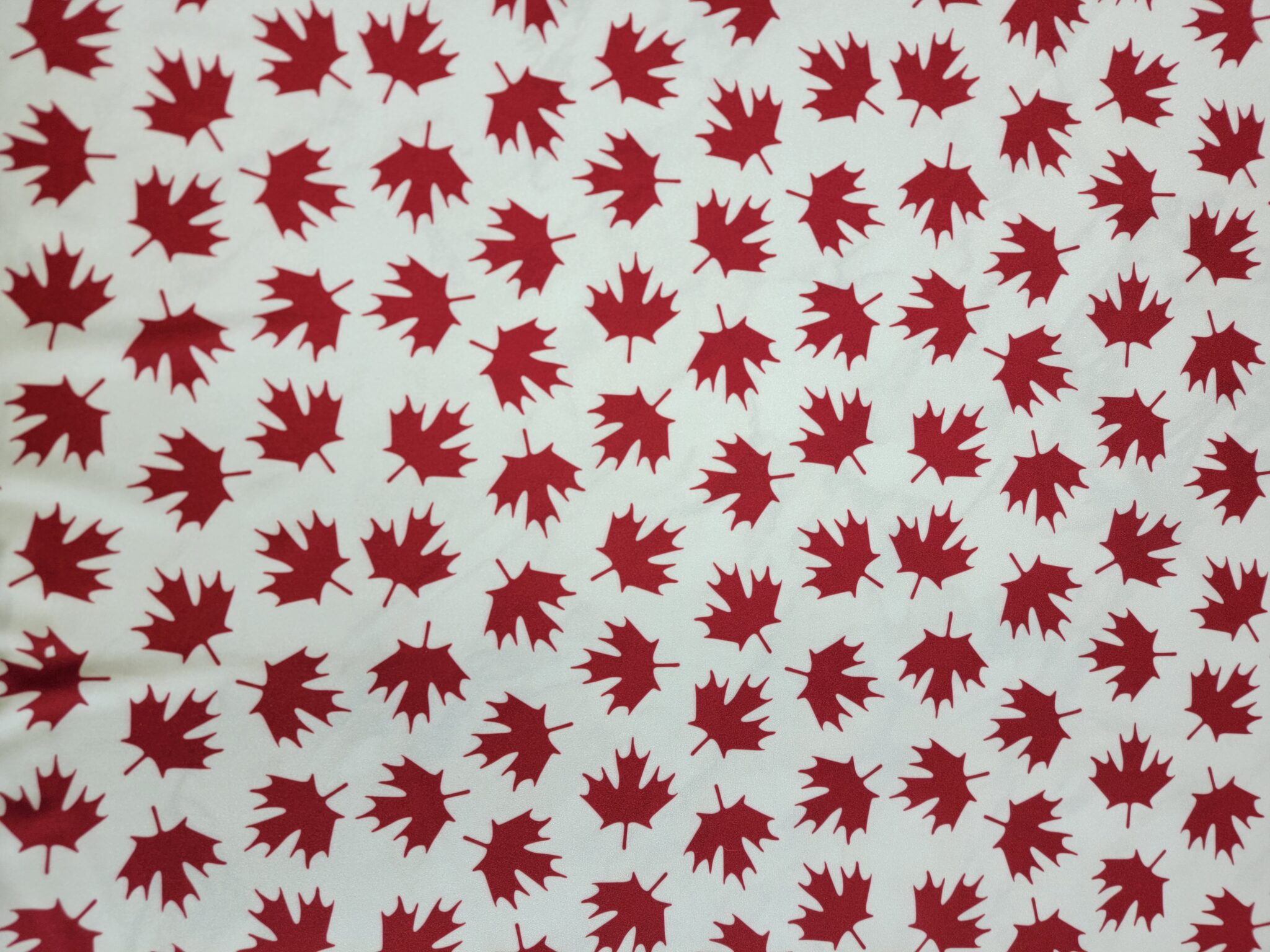 Maple Leafs